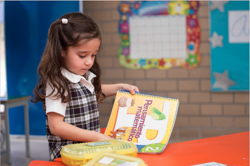 Funciones ejecutivas en la primera infancia.